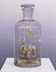 <b>Nortse<br><i>Sunflowers in Bottle</i></b>